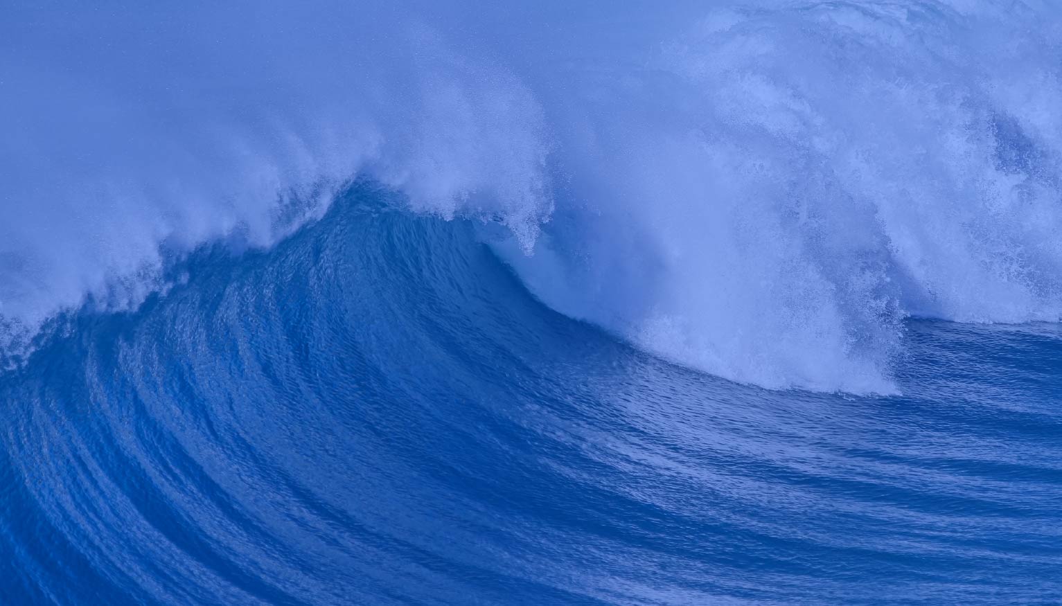 JPM 2026 Insights: Is the Company Creation Wave Reaching the Hiring Market?