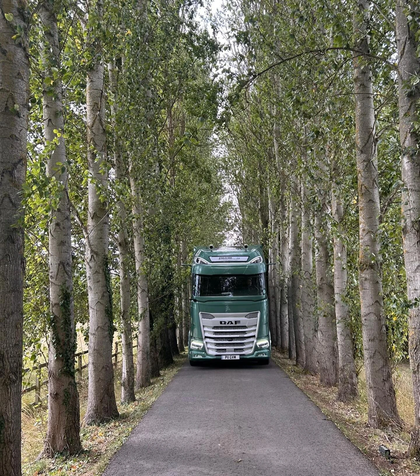 Green DAF truck driving on a narrow road lined with tall, leafy trees on both sides.