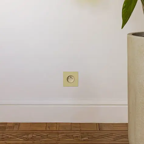Close-up van een dubbele elektrische wandcontactdoos in een witte muur boven een houten vloer met geornamenteerde lambrisering en een grote grijze plantenpot rechts.