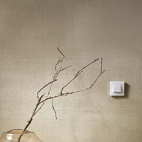 Droge tak in een transparante vaas tegen een beige muur met een wit lichtschakelaar.