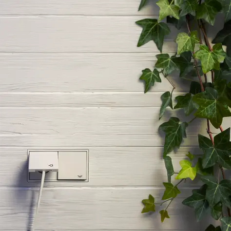 Witte buitenwand met een dubbele stopcontact en groene klimopplanten langs de rechterkant.