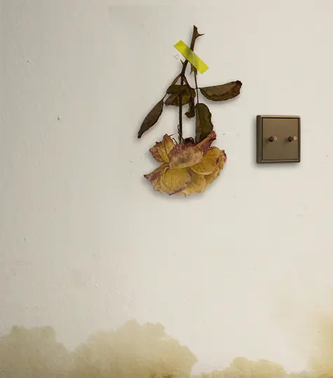 luxe metalen tuimelschakelaar met droogbloem