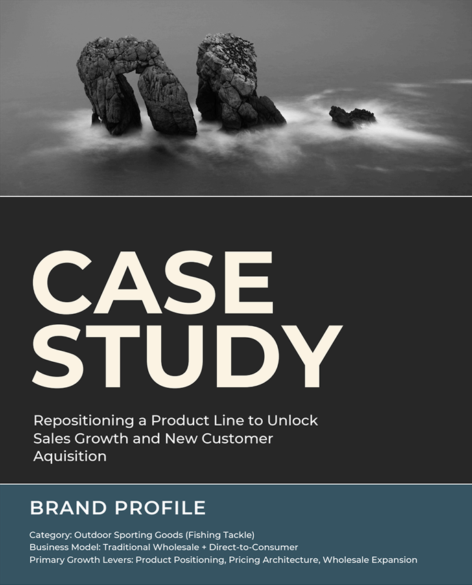 CASE STUDY - GTM PLAN + LAUNCH