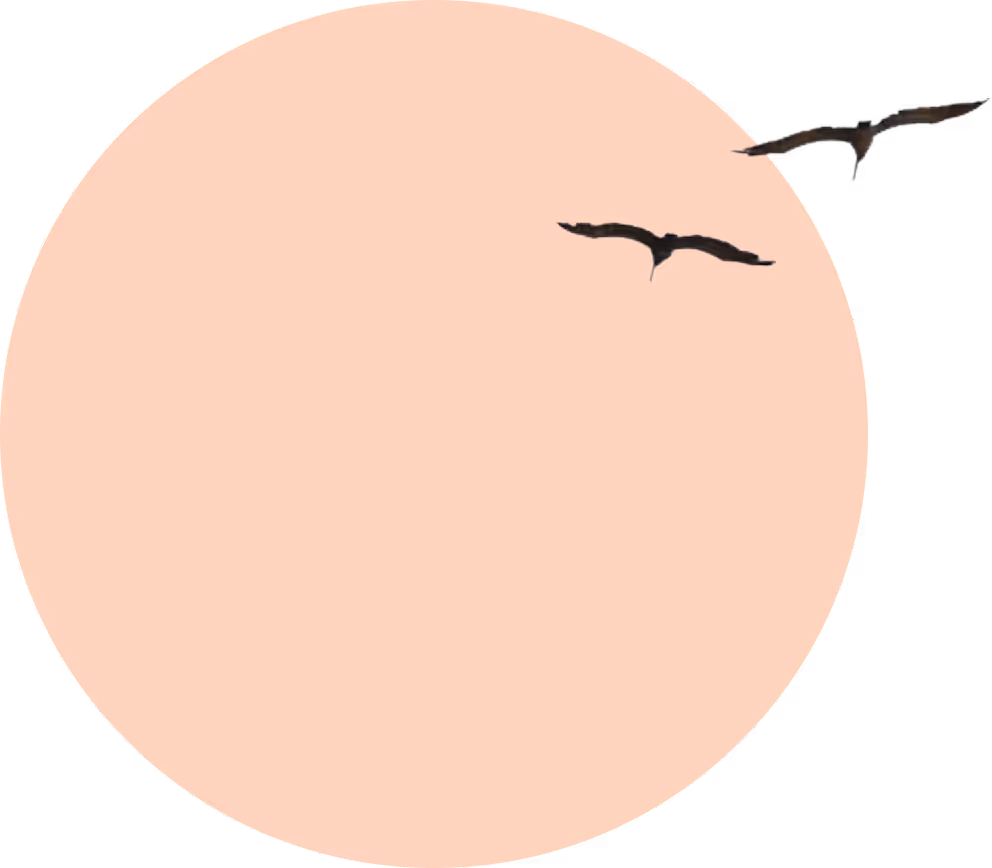 The sun with two cranes silhouetted against the background.