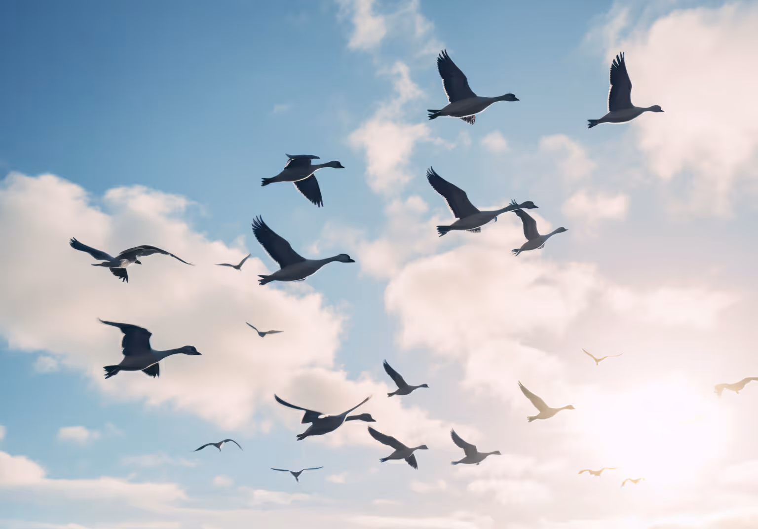 cloud-commerce-migration