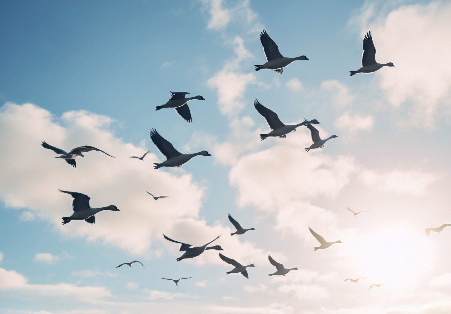 cloud-commerce-migration