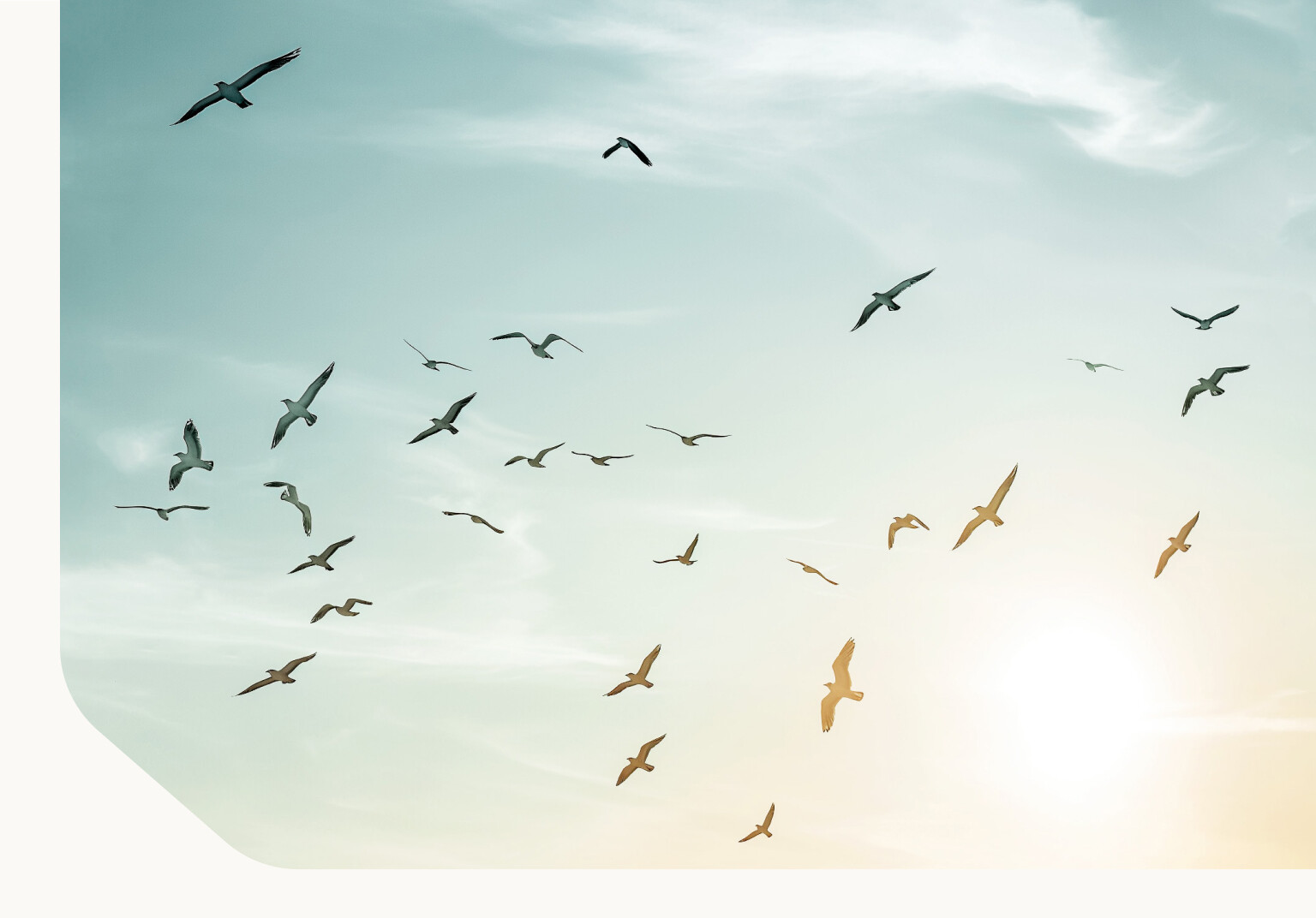 commercetools-vs-bigcommerce-for-enterprise-level-businesses