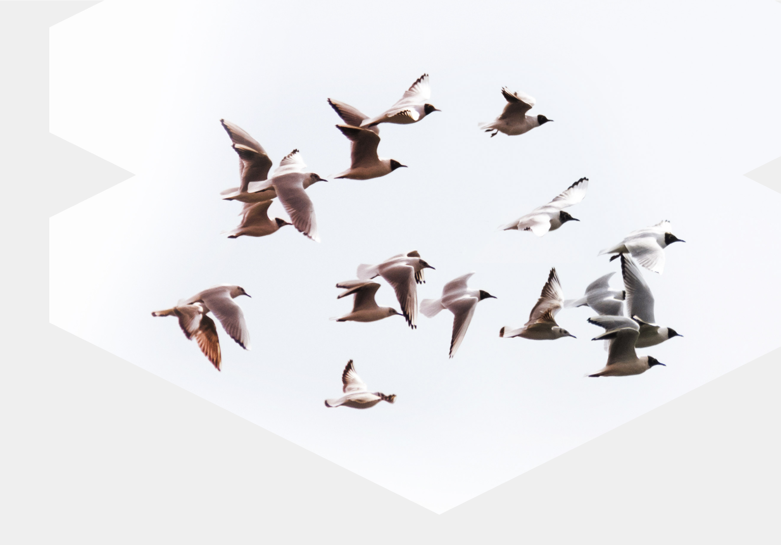 oracle-atg-migration-guide