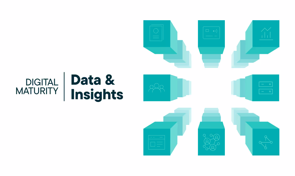 The B2B digital maturity assessment: Data & Insights