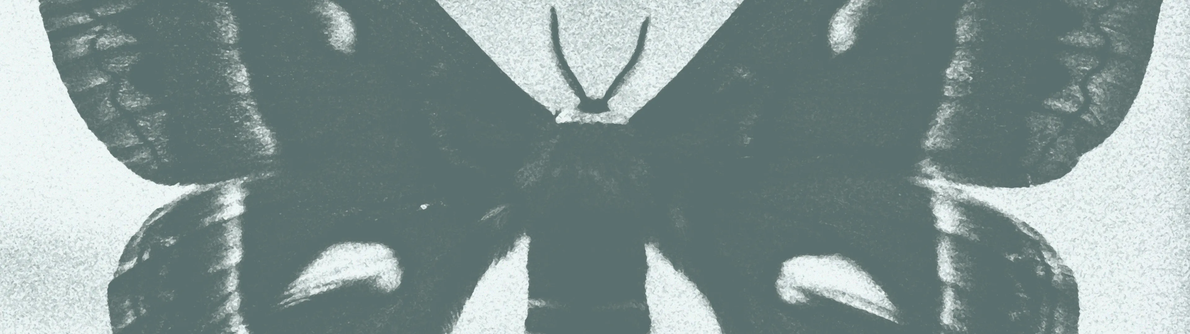 A grayscale, high-contrast image of a butterfly with its wings spread open, centered on a light, textured background.
