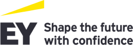 Partner finanziario EY progetti riqualificazione Design Energy SRL