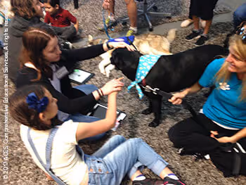 Therapy Dogs Enriching Lives at ACES