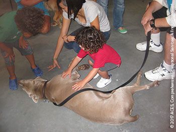 Therapy Dogs Enriching Lives at ACES