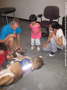 Therapy Dogs Enriching Lives at ACES