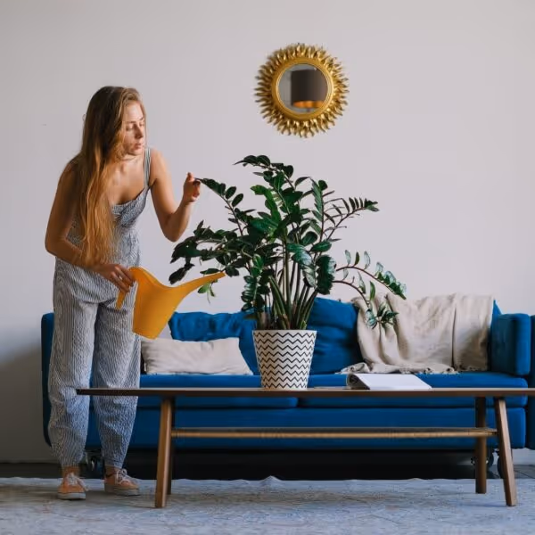 Woman watering a plant in her apartment.