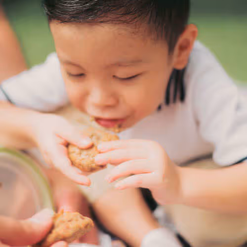 young child eating cookie