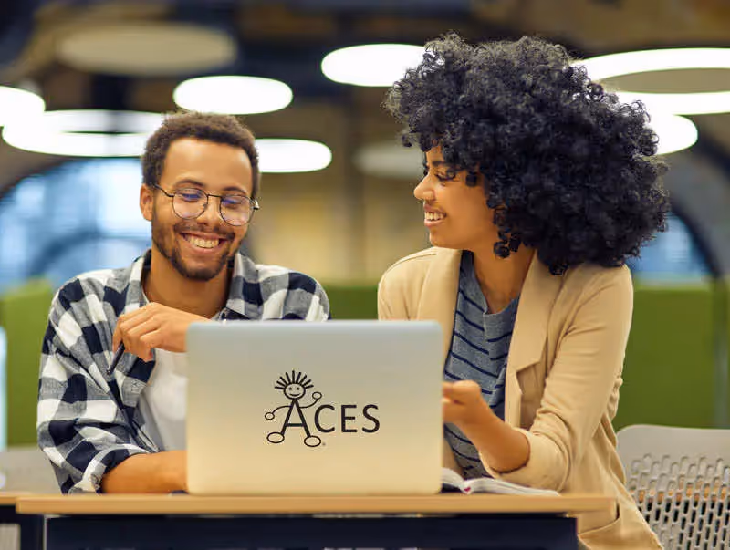 ACES - IT Workers