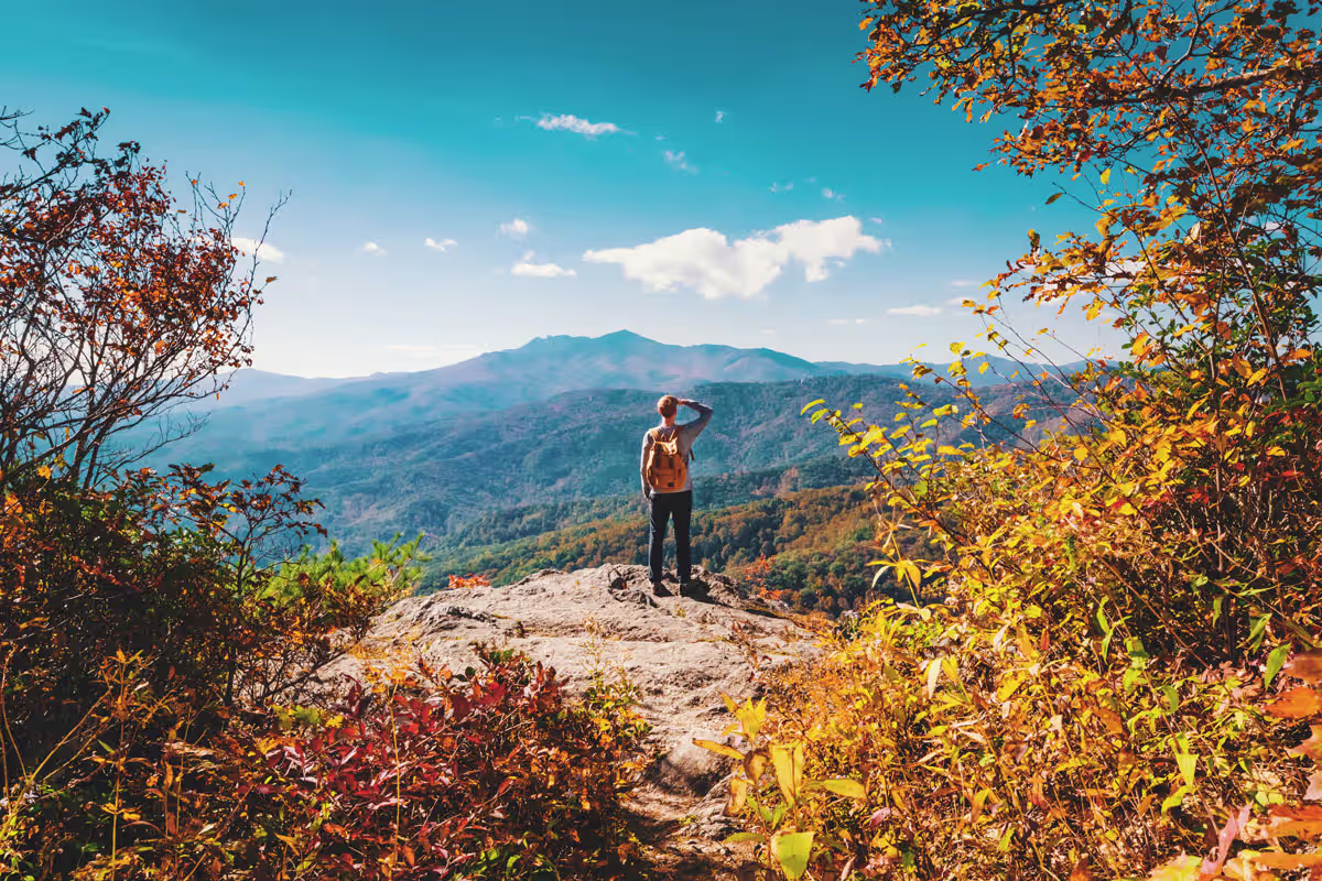 Autism Therapy In North Carolina