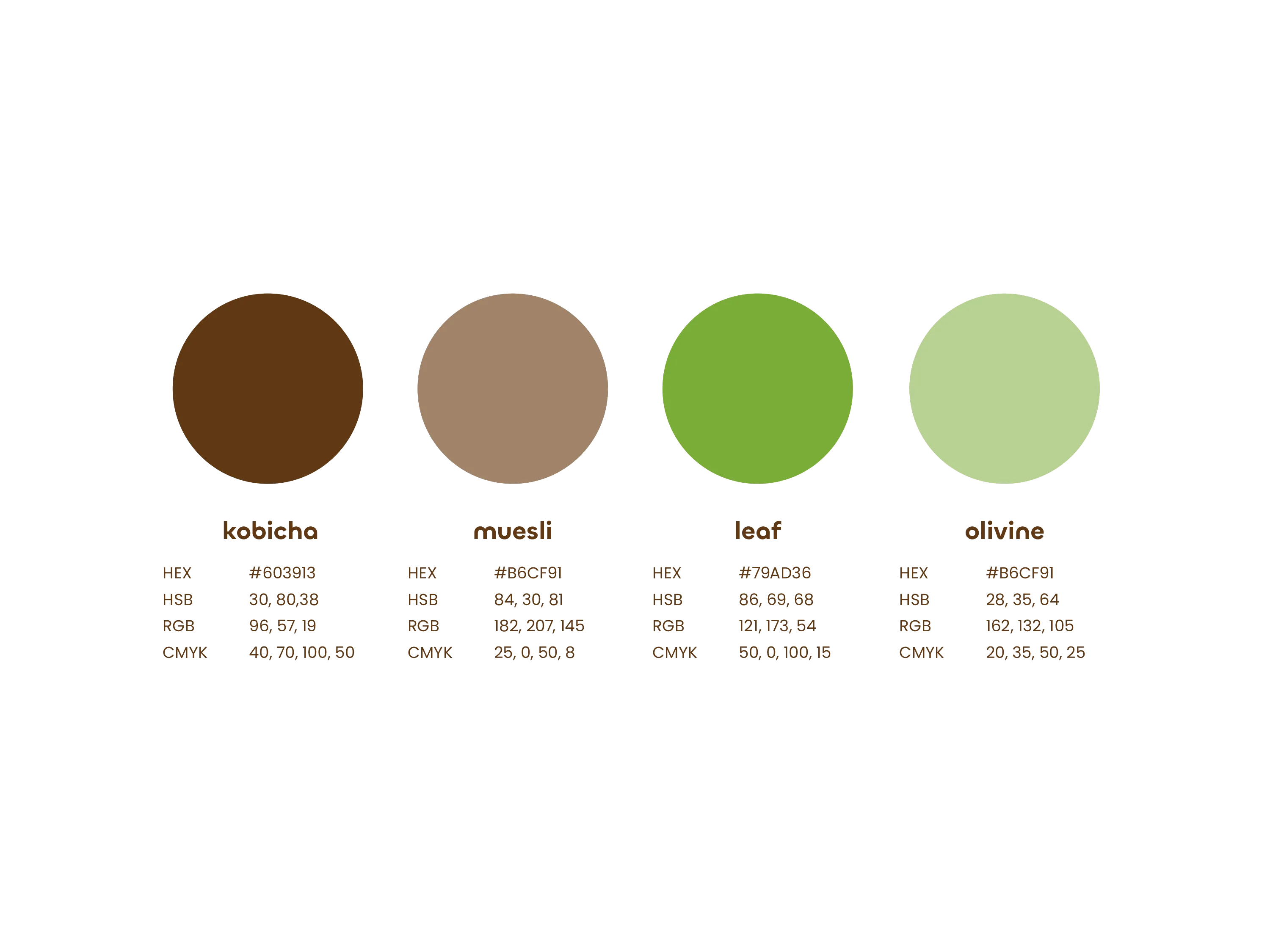 Mocha Matcha's colour palette
