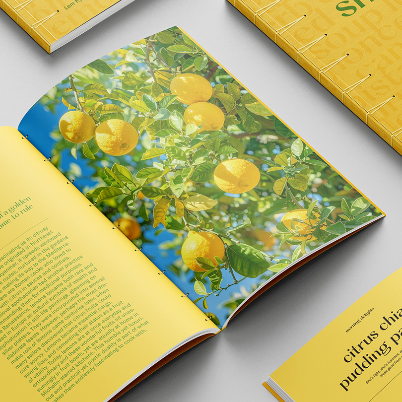 Project 2 preview image features the main ingredient of an editorial book