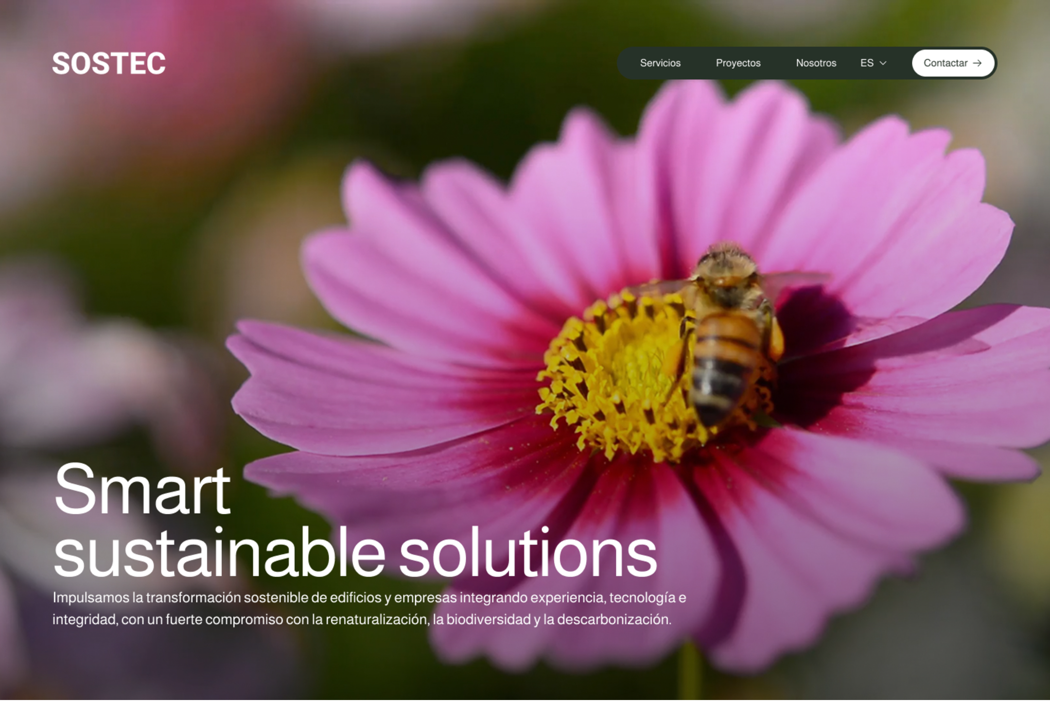 site profile thumbnail
