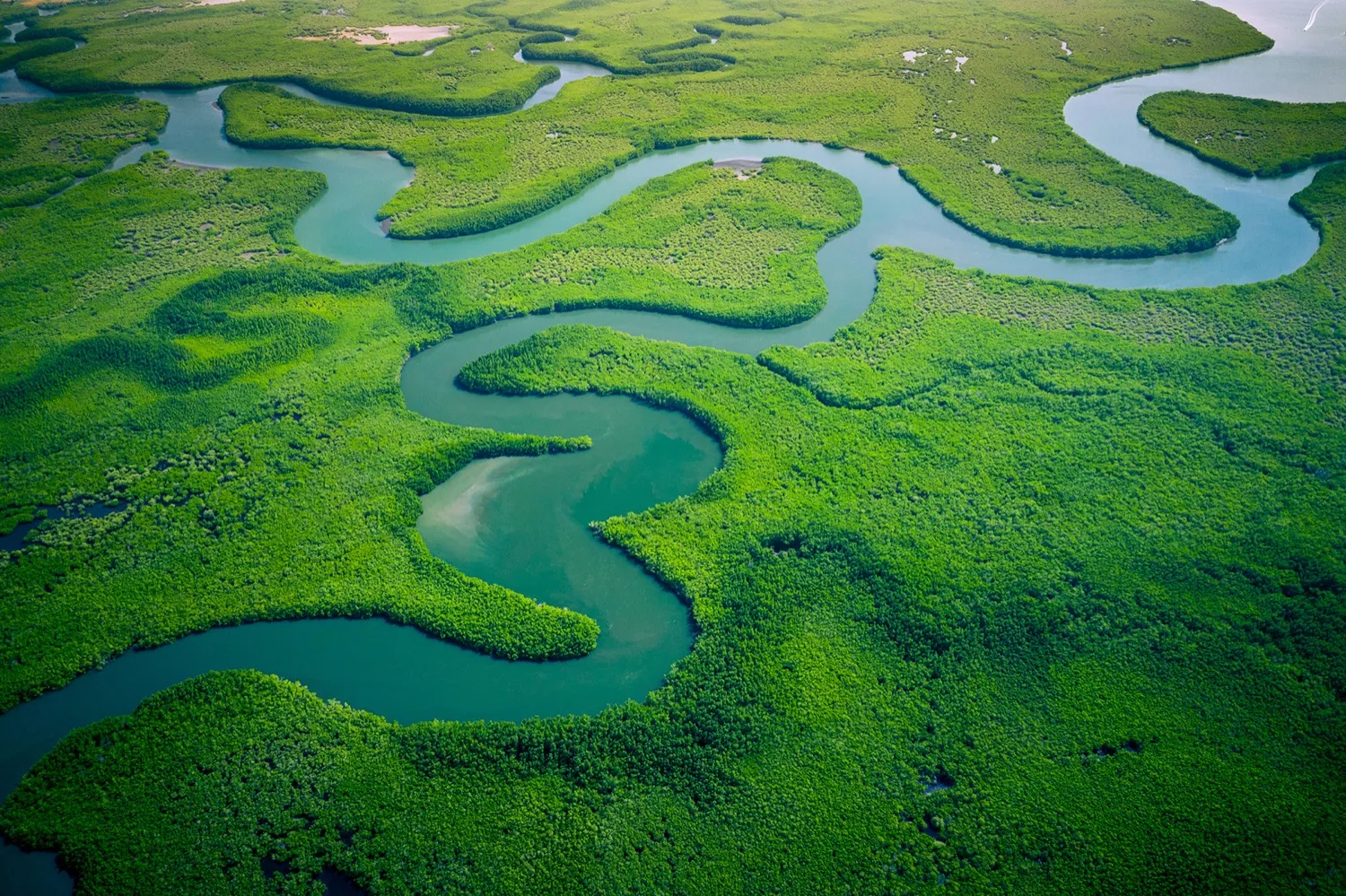 Aerial view of winding river through green wetlands
