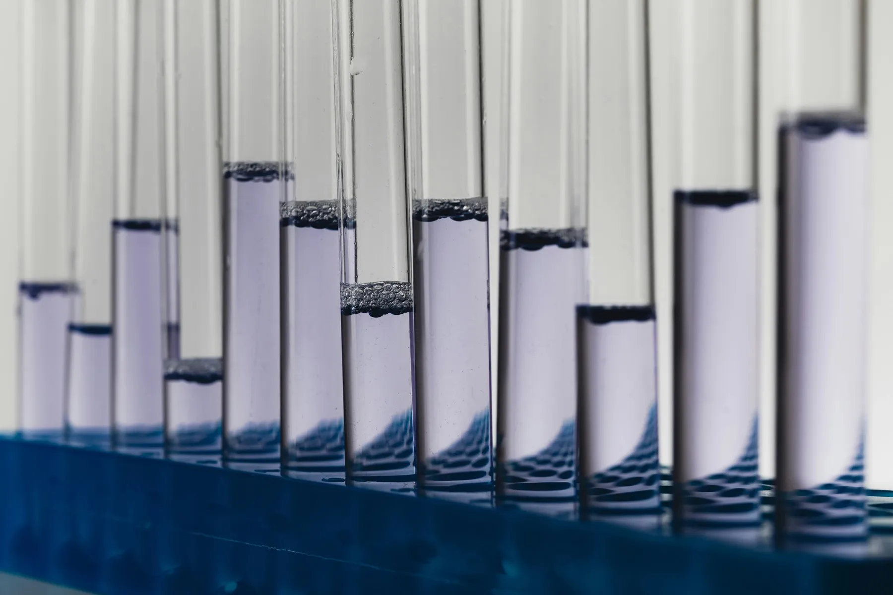 Laboratory test tubes containing purple liquid samples