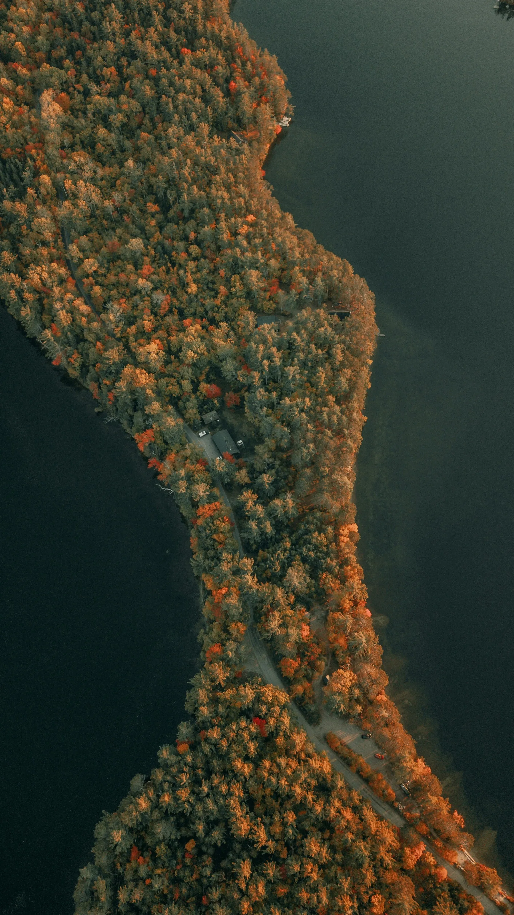 Aerial view of tree-covered land bridge over water in fall foliage