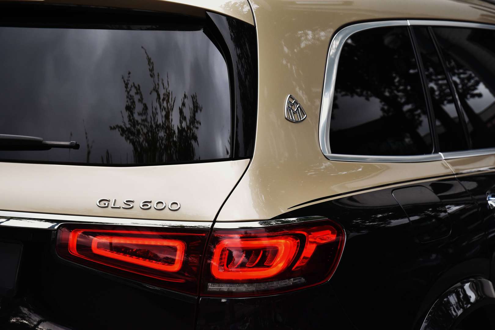Mercedes-Benz GLS 600 - 18
