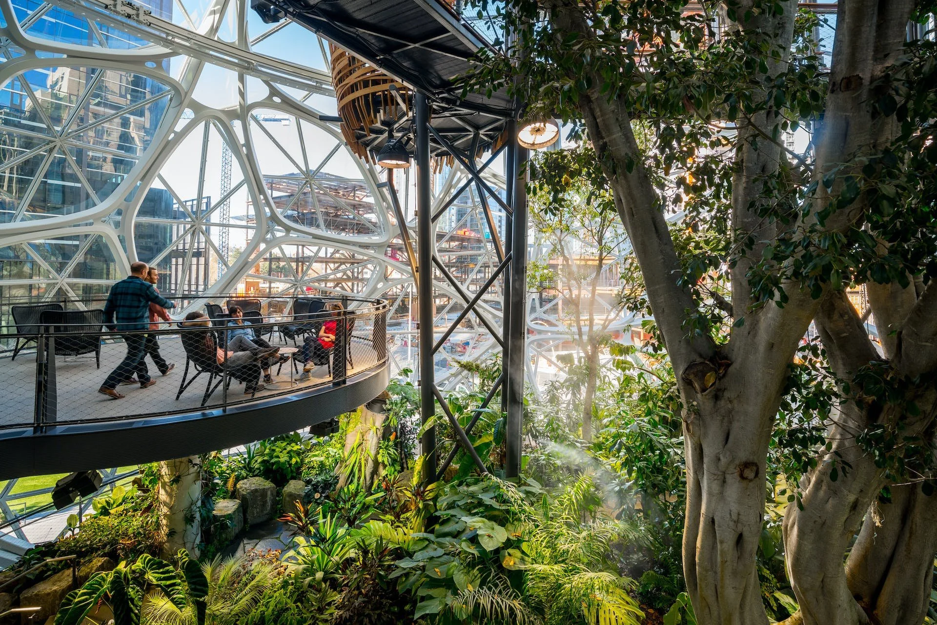 Amazon in the Regrade. NBBJ.