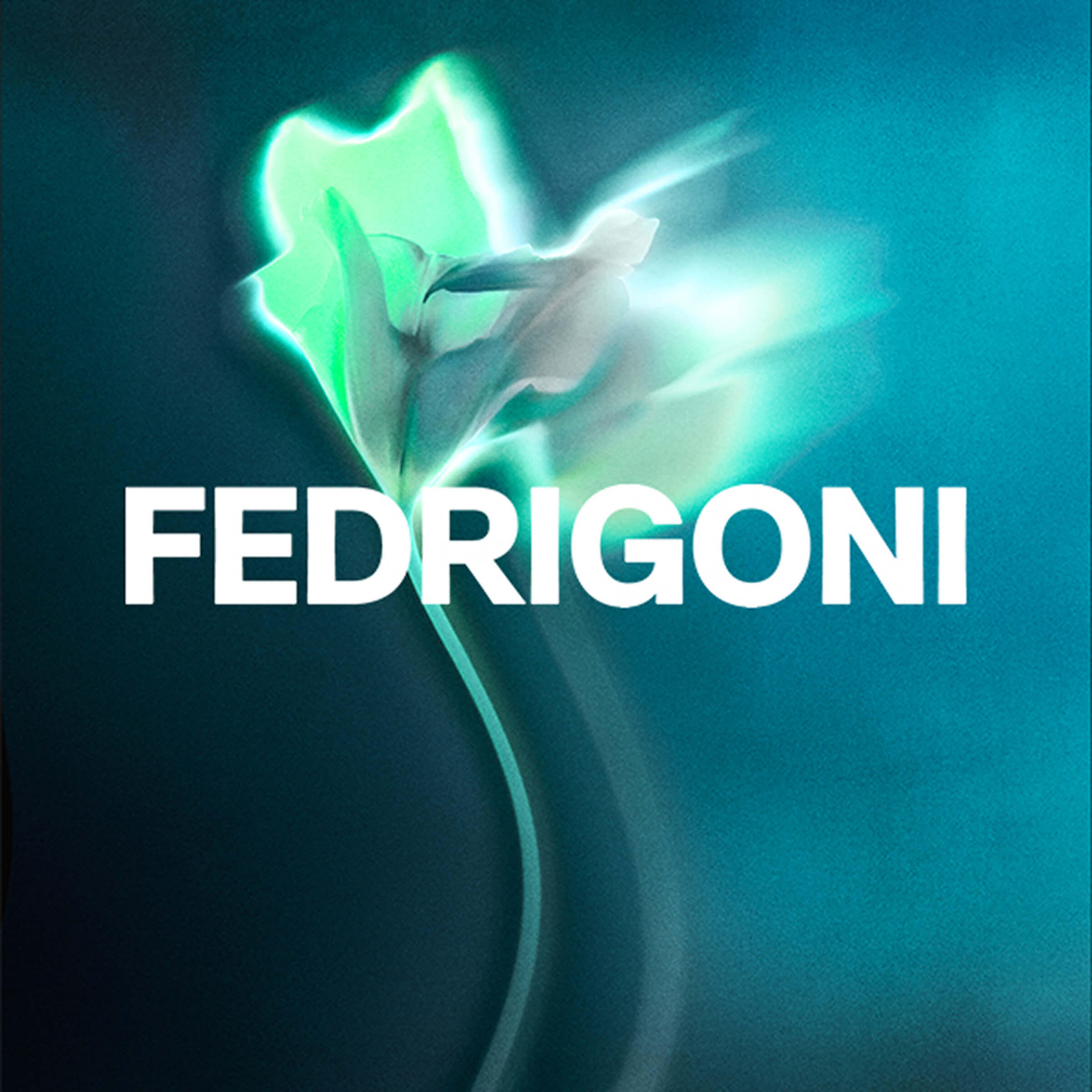 FEDRIGONI 2025