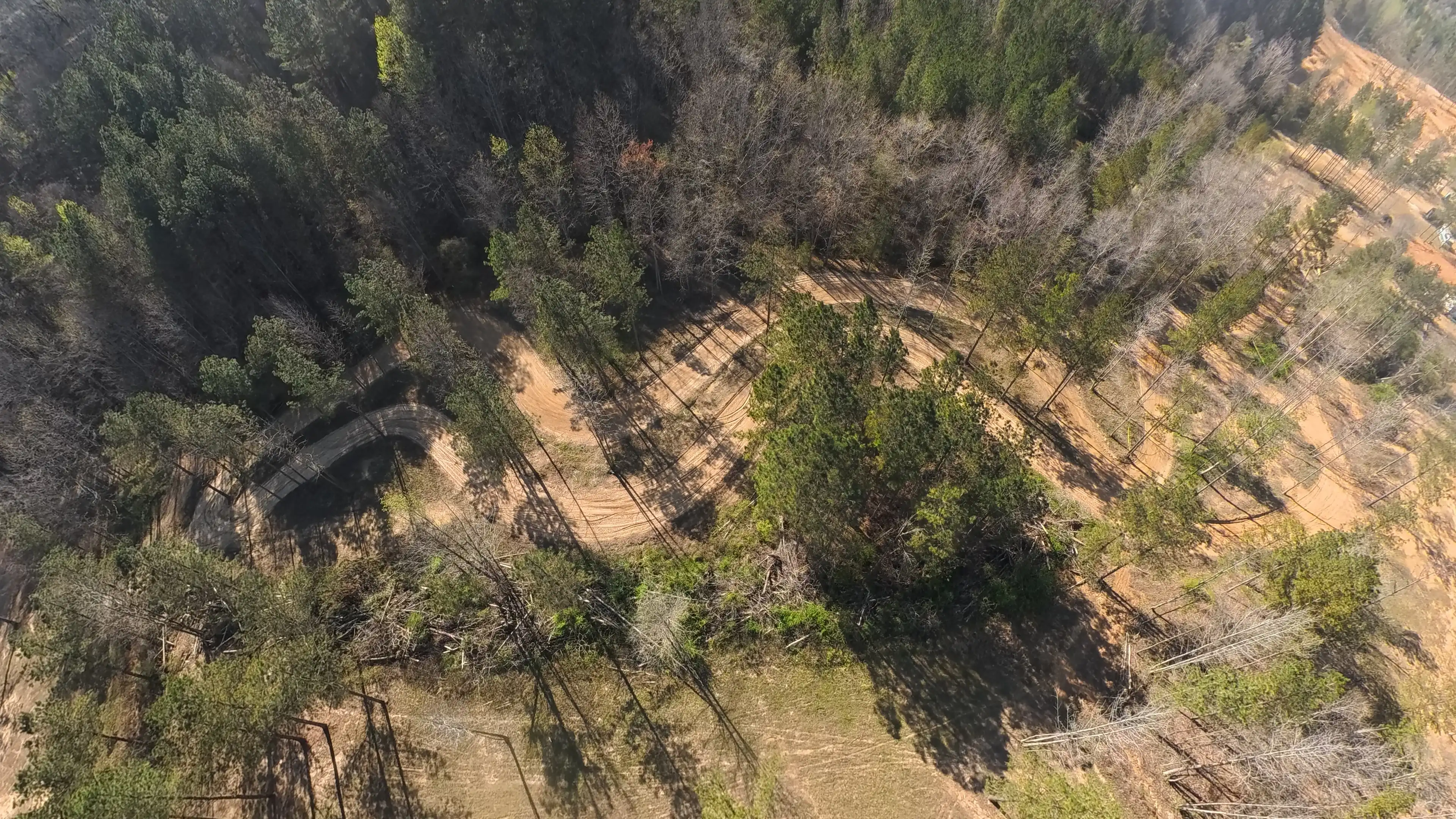 Aerial view of a winding dirt track through a forested area with tall trees casting long shadows.