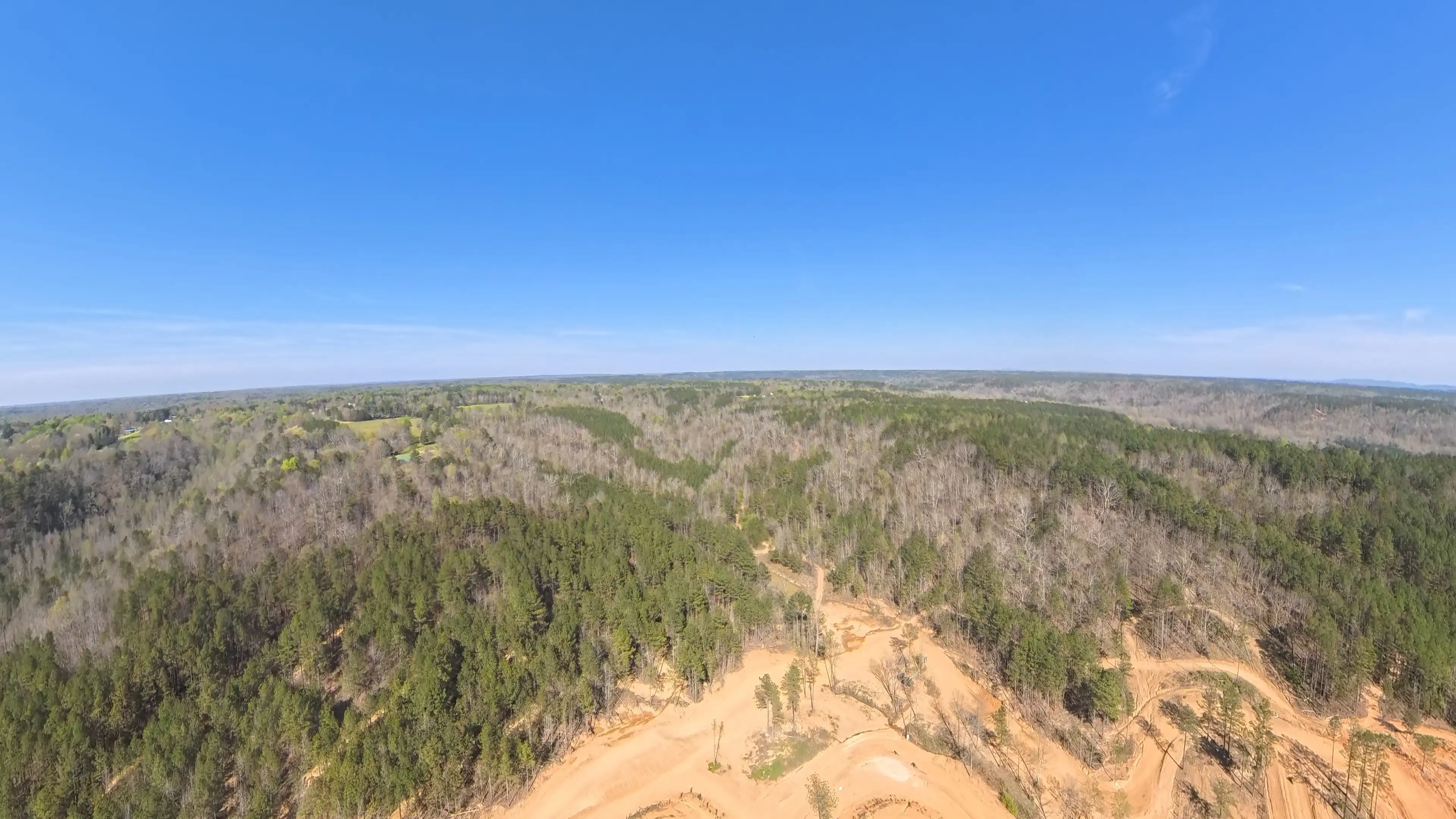 Aerial view of a forest with mostly leafless trees and some green pine trees under a clear blue sky, with dirt trails or cleared areas in the foreground.
