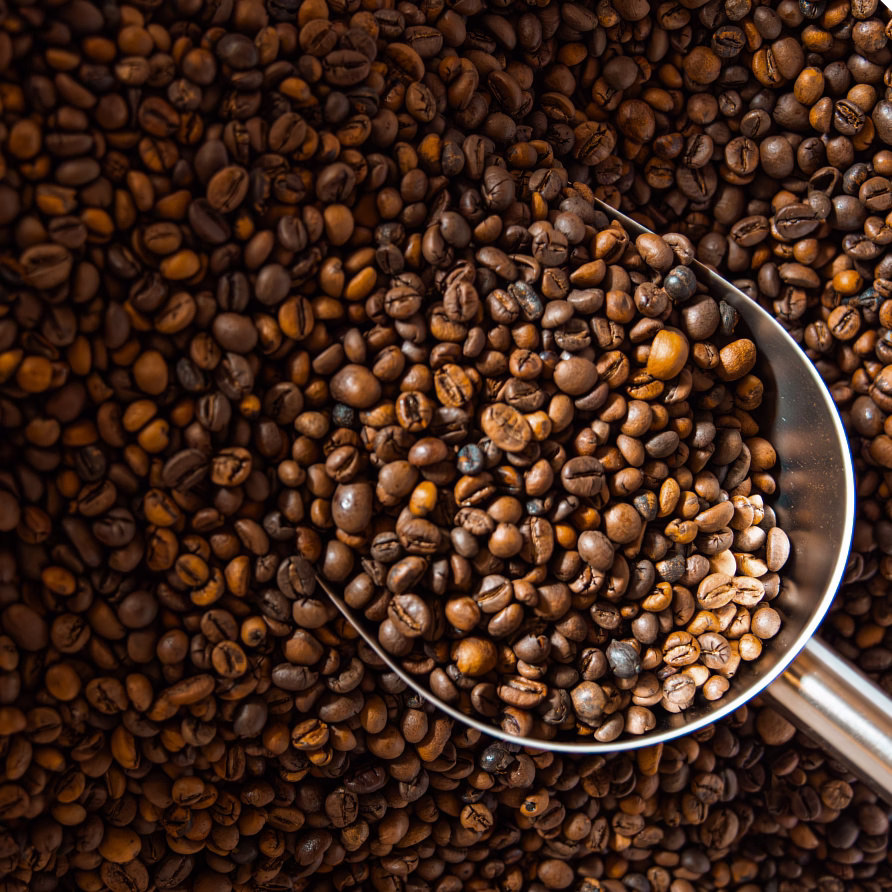 Metal scoop filled with roasted coffee beans on pile of coffee