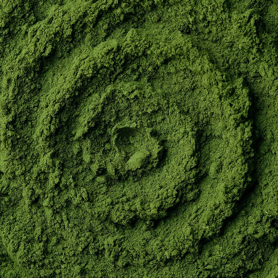 Close-up of vibrant green powdered matcha with textured surface and shadow patterns.