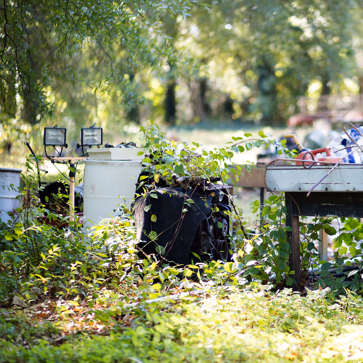 junk removal and property cleanup near me