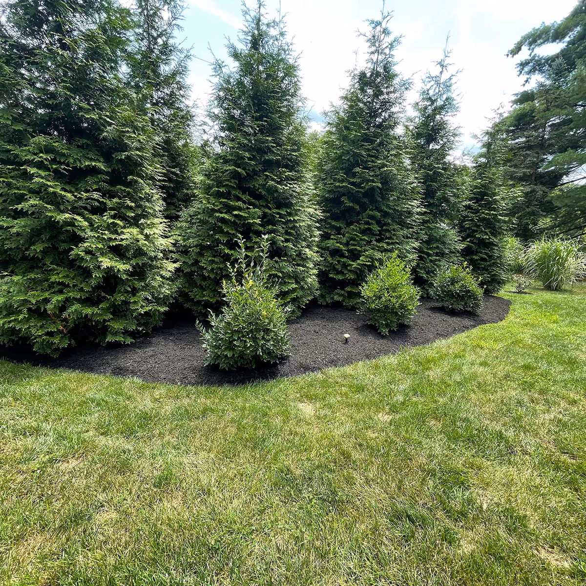 landscape bed preparation and mulching Monroe County Indiana