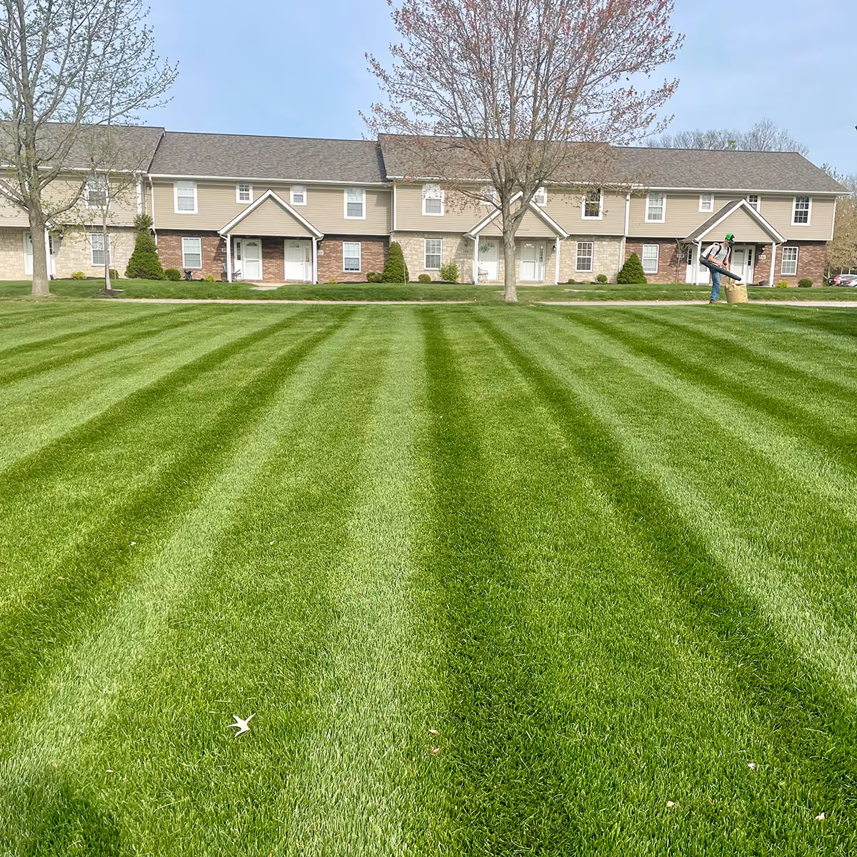 Lawn care and maintenance service by Executive Lawn Care & Landscaping in Bloomington, Indiana