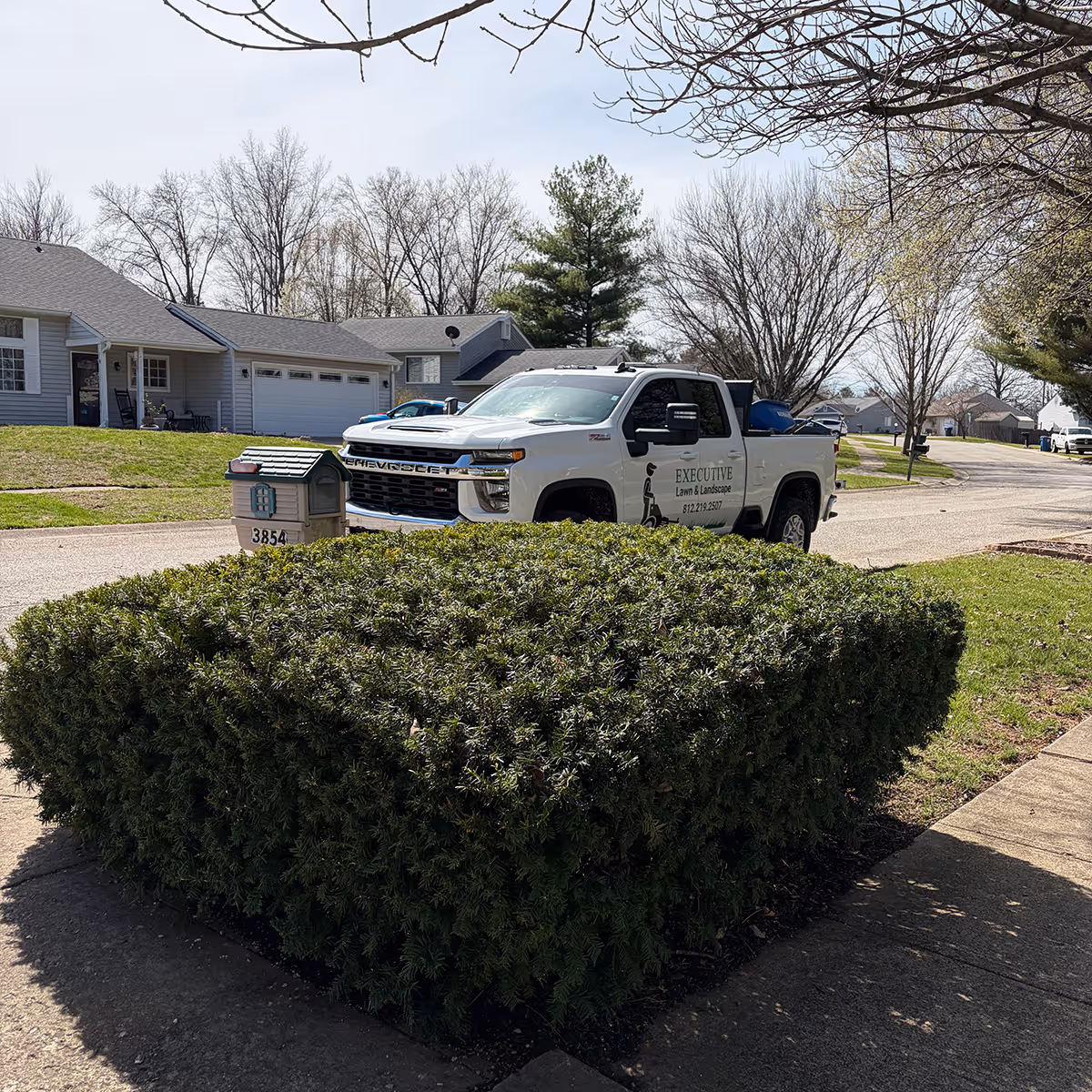 shrub trimming and hedge maintenance service near me Bloomington Indiana