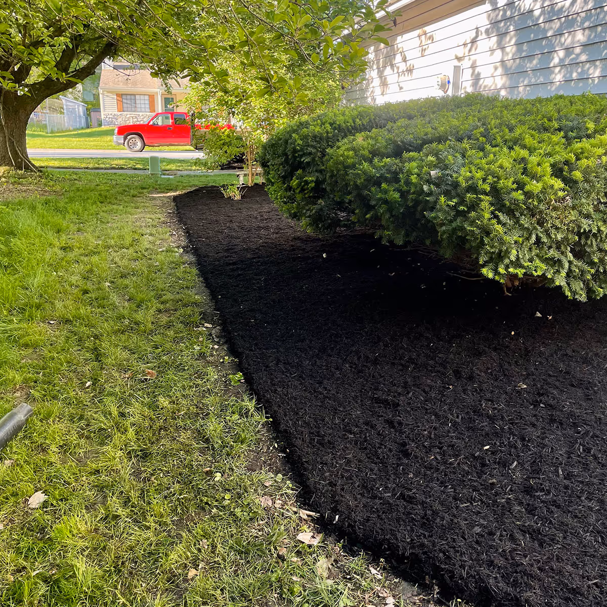 Fresh mulch landscaping service improving curb appeal in Monroe County, Indiana