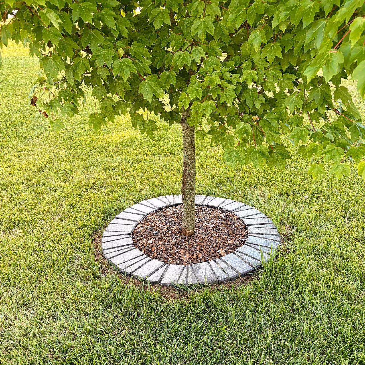 Paver tree ring installation by Executive Lawn Care & Landscaping in Bloomington, Indiana