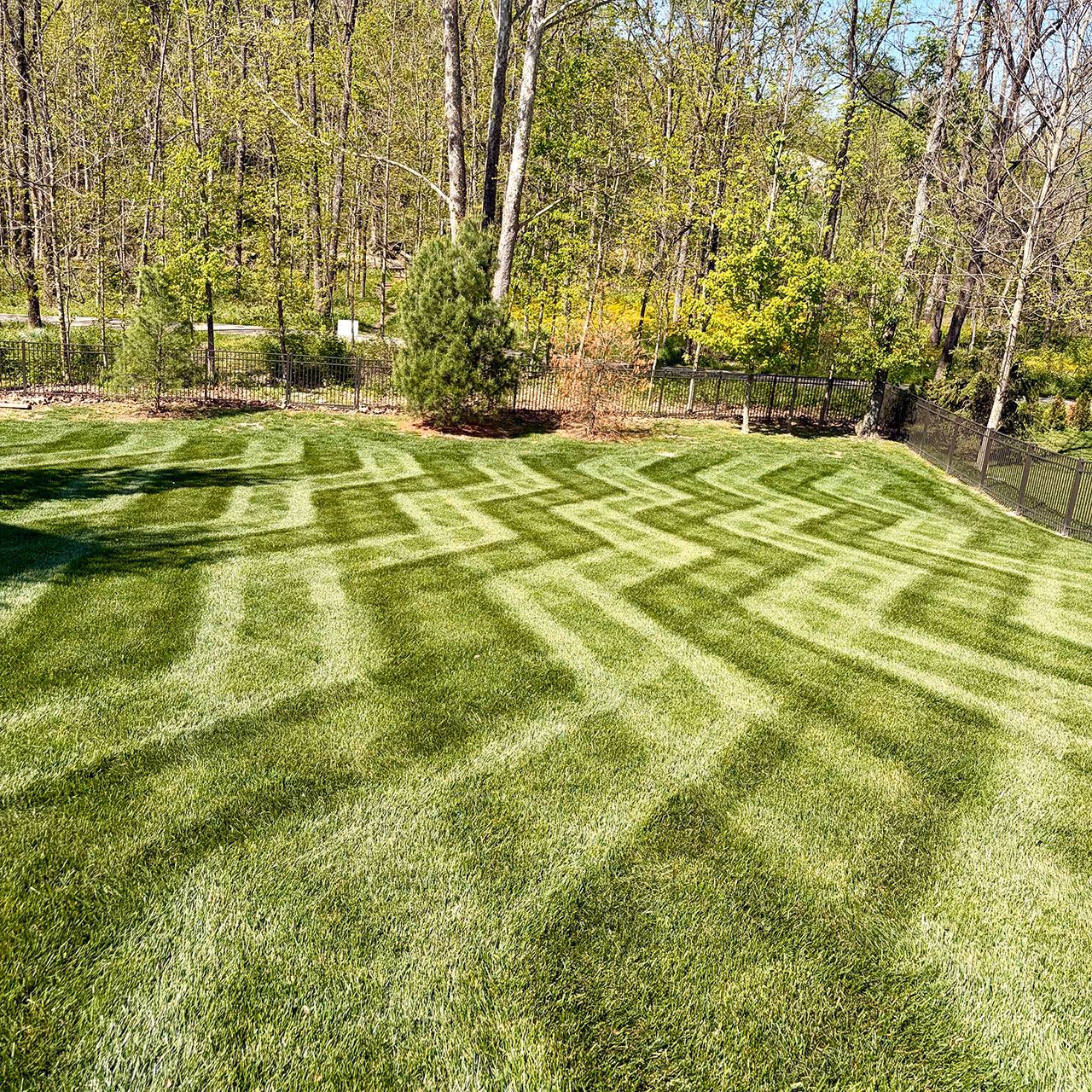 Freshly mowed lawn with professional striping by Executive Lawn Care & Landscaping in Bloomington, Indiana