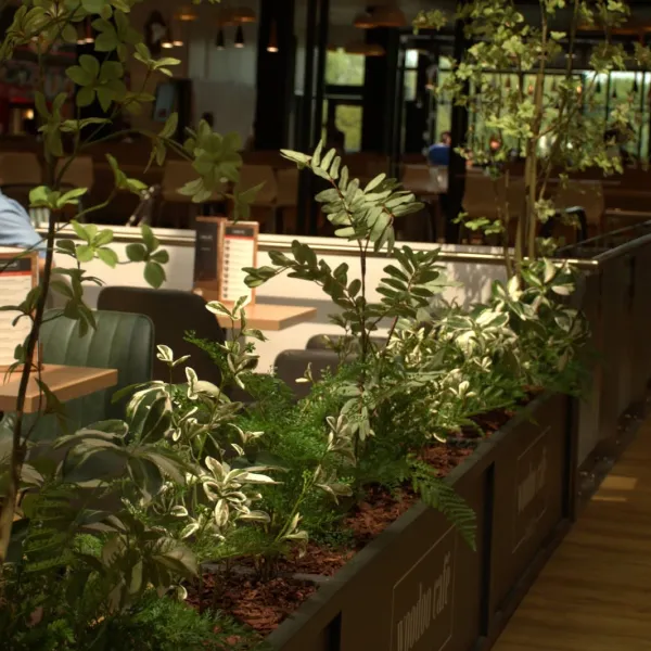 Woodoo Café Kávézó Szeged