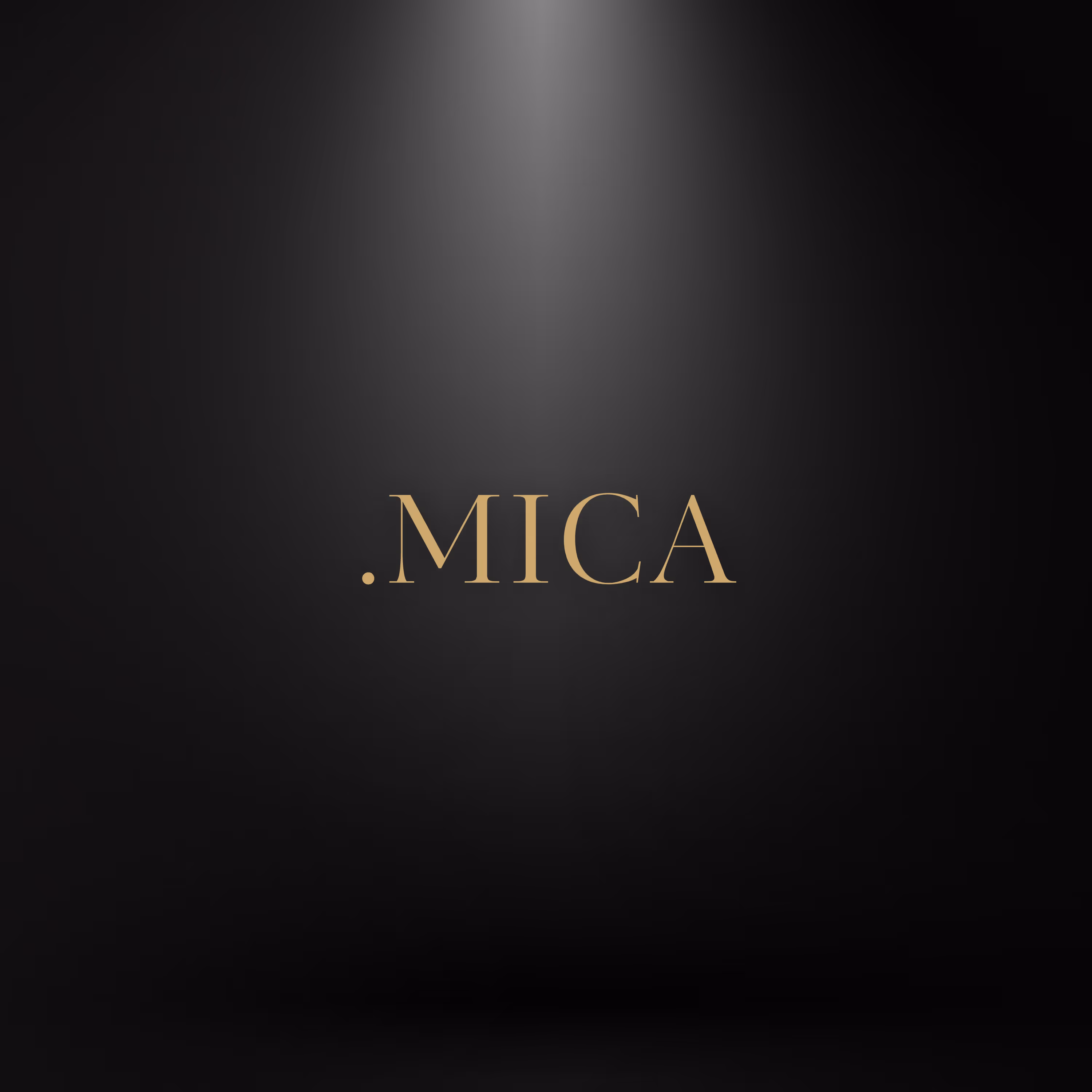 MiCA and TLDs: EU Regulation Changes for Domain Holders