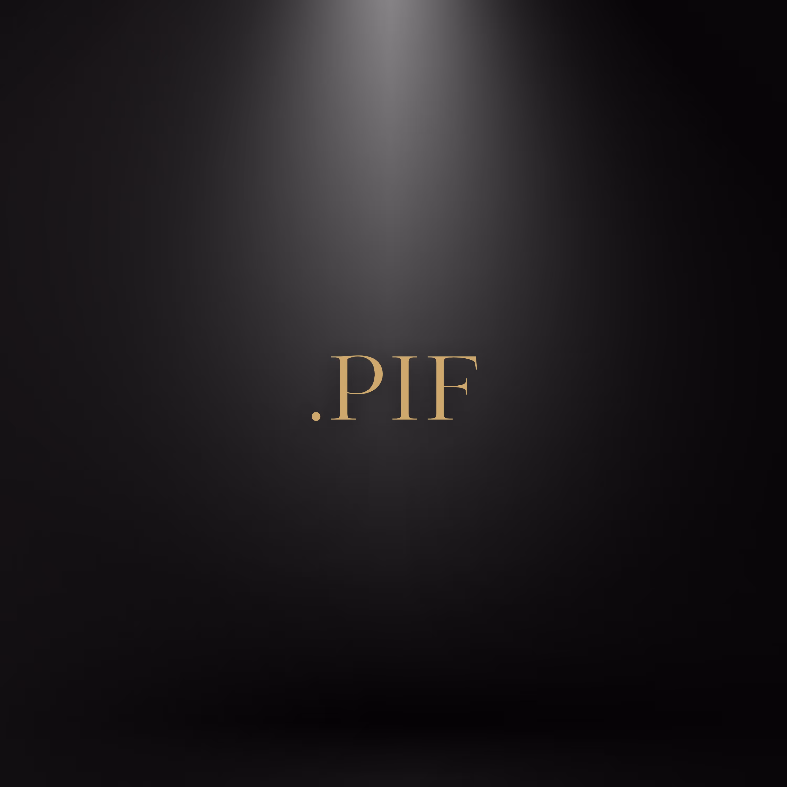 PIF and Vision 2030, Saudi Digital Infrastructure's Missing Link