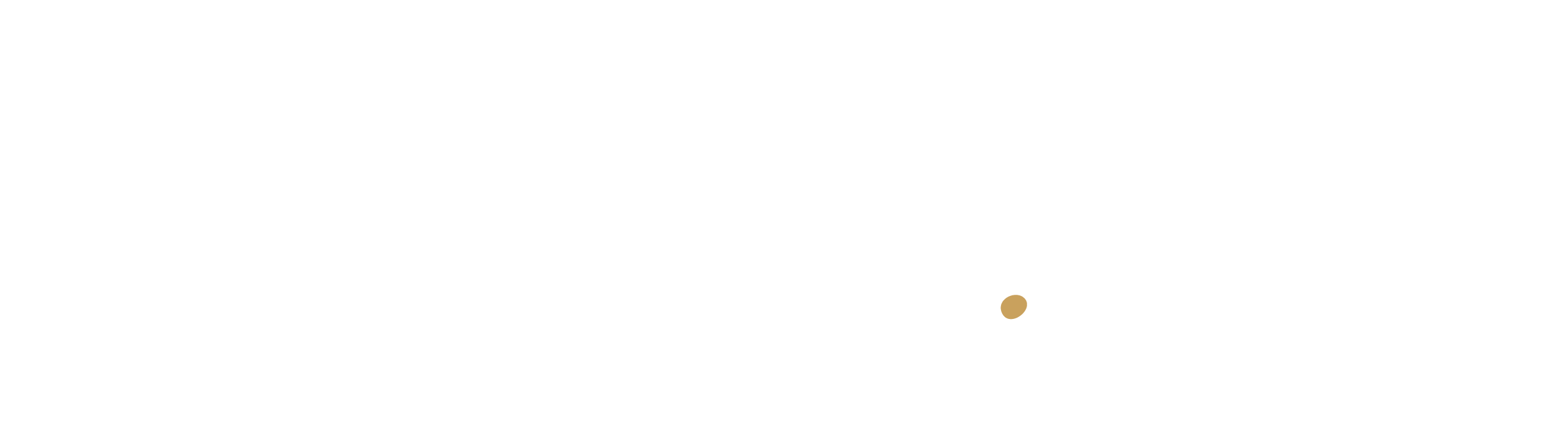 Thankyou.cards logo