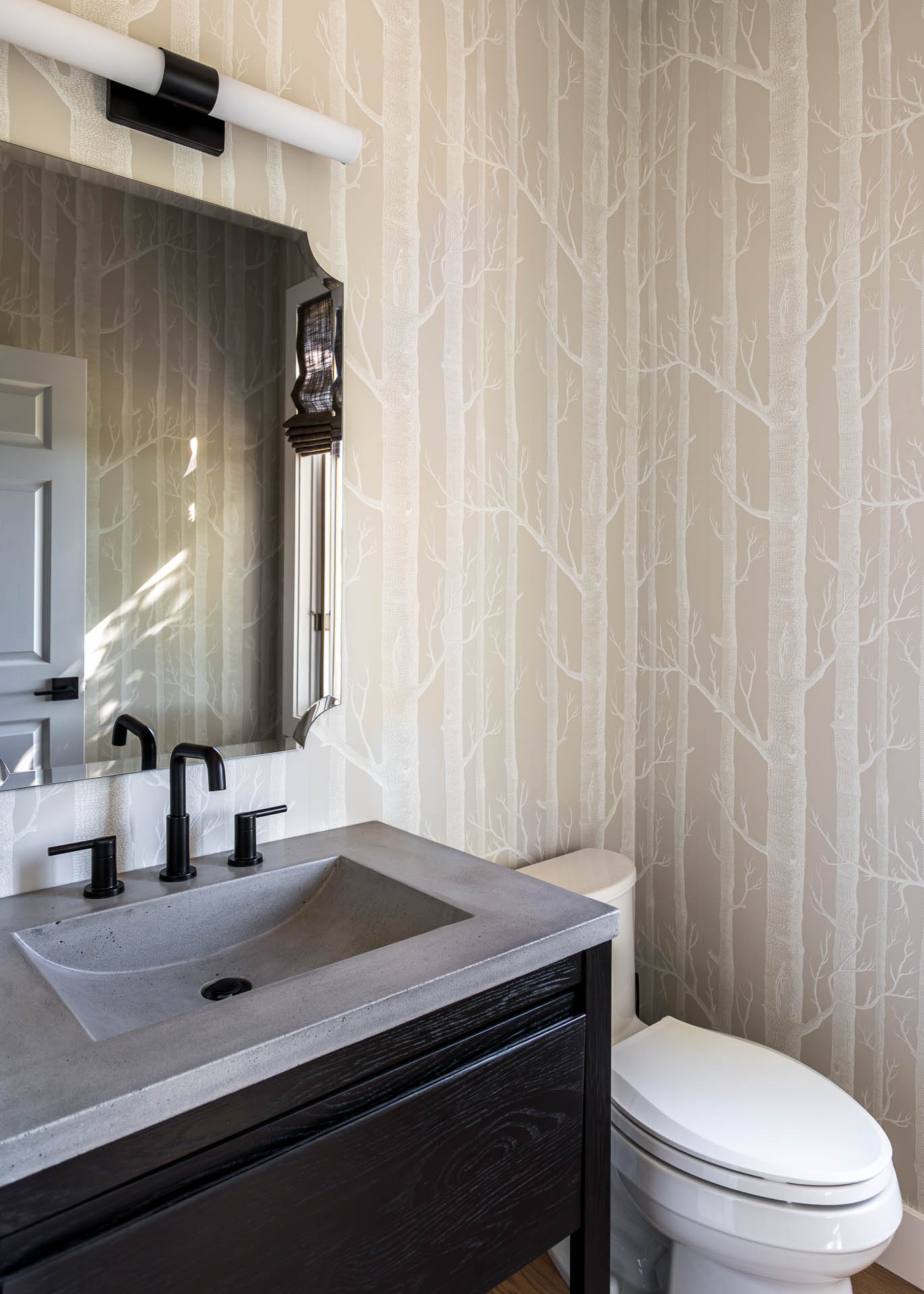 Bierstadt interior design by Ejay Interiors