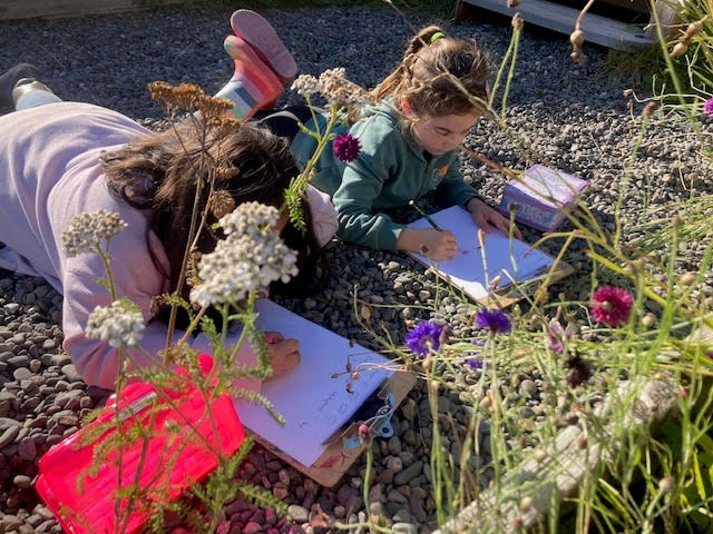 image of students drawing on clipboards outside 