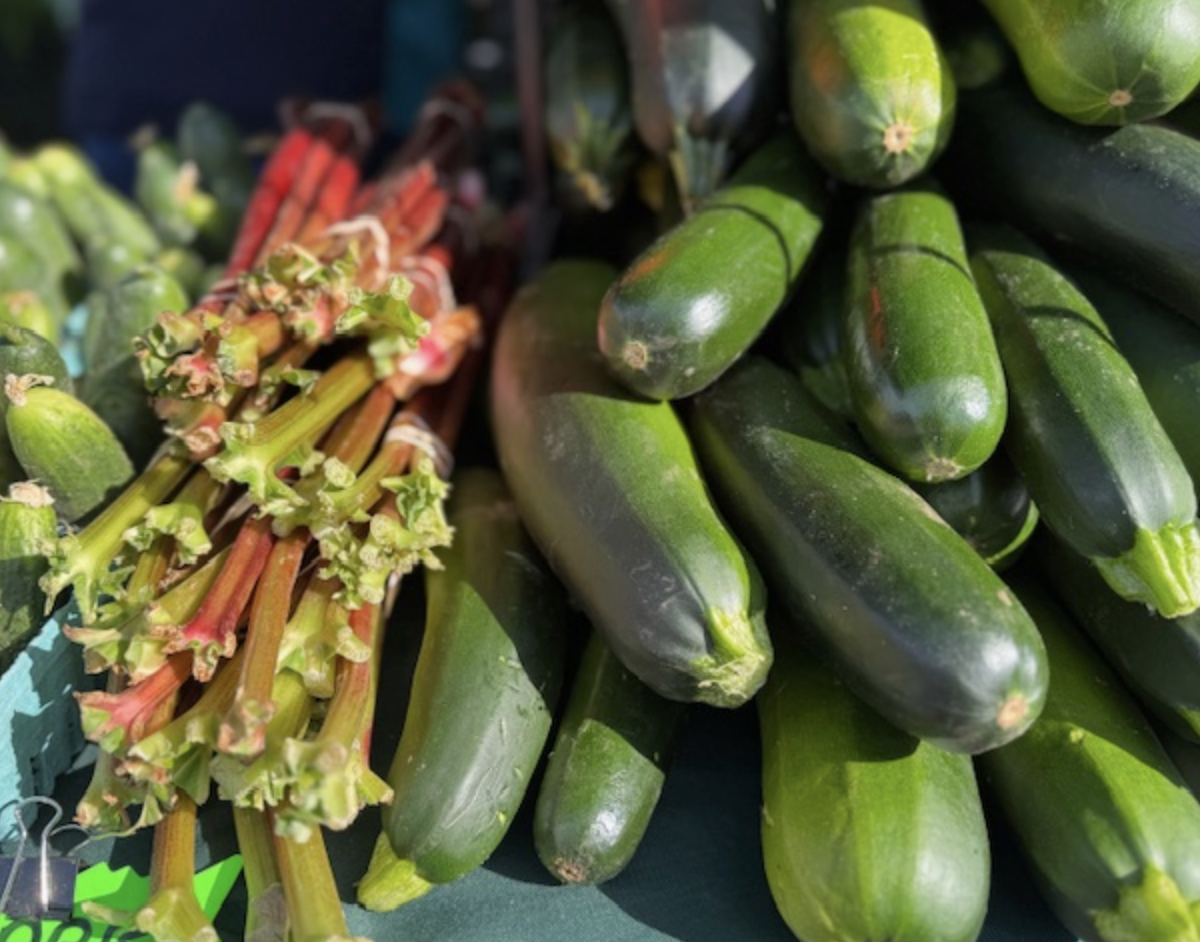 image of fresh produce for sale at the Homer Farmers Market