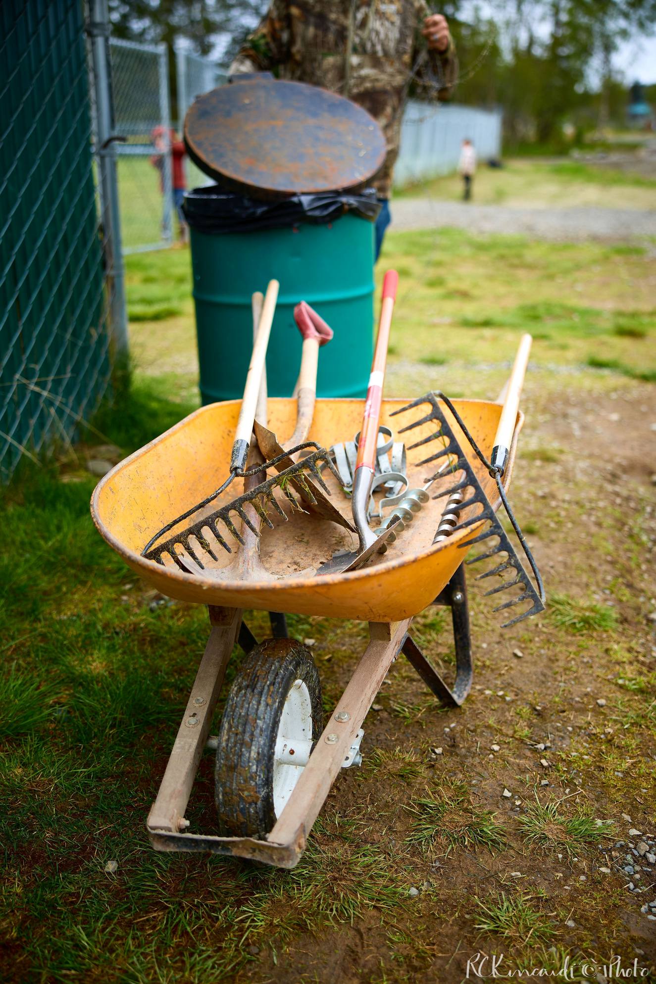 image of a wheelbarrow filled with rakes and shovels